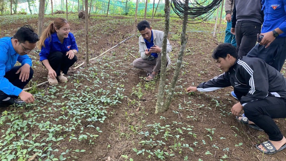 THANH  NIÊN DÂN TỘC THIỂU SỐ PHÁT HUY VAI TRÒ XUNG KÍCH TRONG PHÁT TRIỂN KINH TẾ TẠI ĐỊA PHƯƠNG